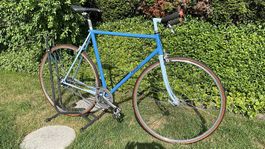 Fixie Velo