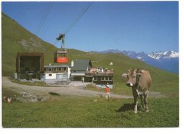 DAVOS Parsennhütte, Luftseilbahn, Kuh, Stempel Gasthaus