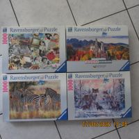 Ravensburger Puzzles 4x1000 Teile Winterzeit & Safari Tiere