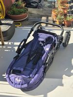 Kinderwagen Bergsteiger Capri