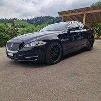 der elegante, sparsame und sportliche Jaguar in schwarz