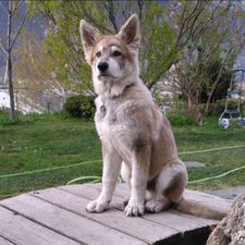 Profile image of fop_pm28
