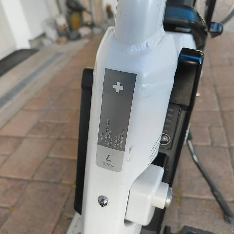 Flyer Biciclette: e-bike Flyer Gotour 5 7.00 – Usato da Pratteln venduto da mattia51 2