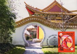 MK Chinesisches Mond-Neujahr - Feuerpferd, Chinagarten ZH**