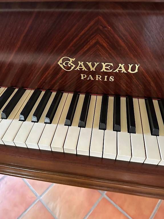 Strumenti musicali: Piano à queue Gaveau - Soleils couchant – Usato da Hünenberg See venduto da Ninouck 1