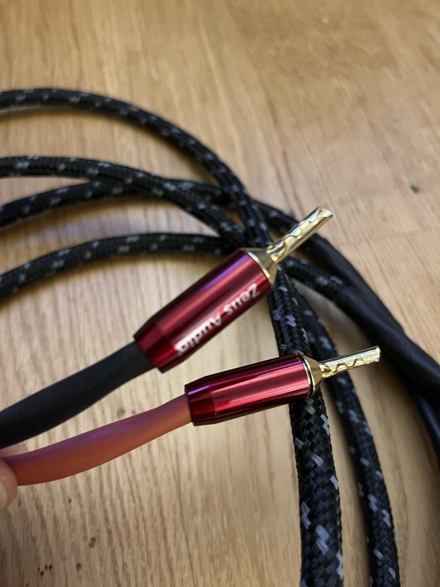 Casse acustiche: XTZ 93.23 speakers & Zeus Audio cables – Usato da Zürich venduto da oas_8xnz 5