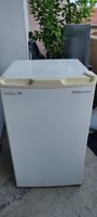 Fust PRIMOTECQ Gefrierschrank