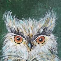 Uhu-Bubo-Bubo