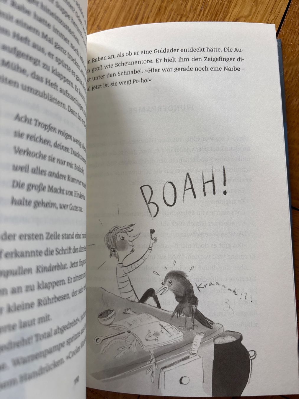Libri: Luca & Ludmilla Sybille Hein NEU – Usato da Genève venduto da Livsonman 3