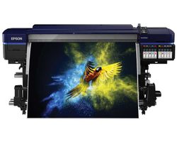 Epson SureColor SC-S80600 | Druckkopf Januar 2025