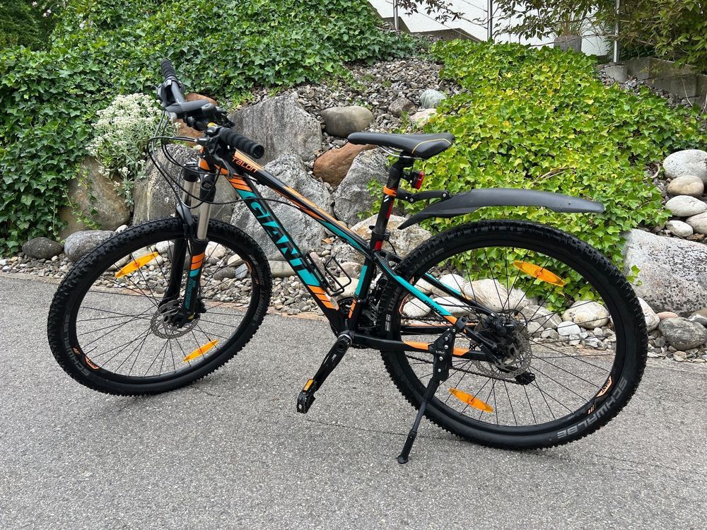 giant xxs mountain bike