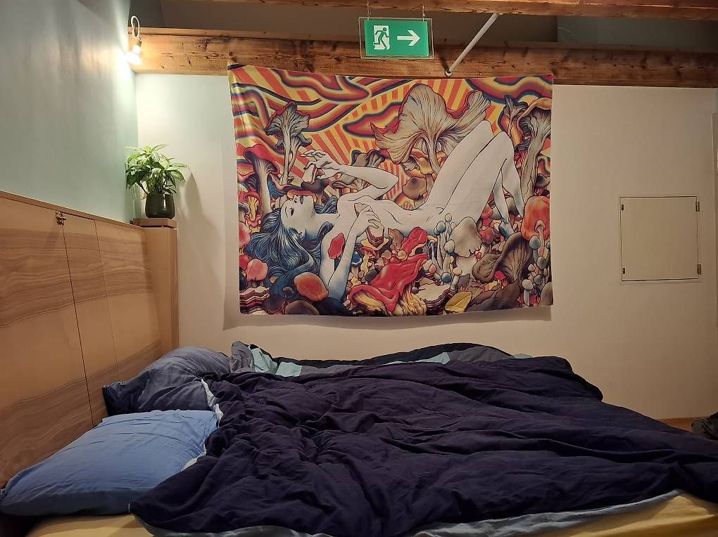 Foto & Immagini: Wandteppich 200cm x 145cm – Usato da Basel venduto da dam_j86s 1