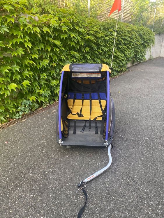 Burley Cub X - Rimorchio per bicicletta per bambini, 2 posti, colore