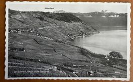 Lavaux - Vignoble - Cully - Epesses - Dézaley vers 1960