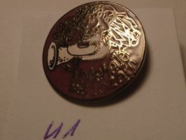 1  "Noteheuer Lozärn" Gugge Pin (U1)