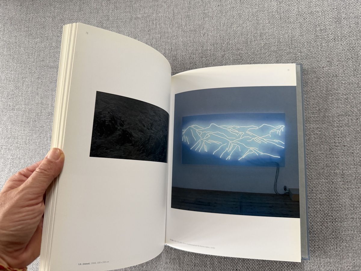 Libri: Sven Drühl - Artistic Research - Kunstbuch Buch – Usato da Ennetbaden venduto da mapa05 4