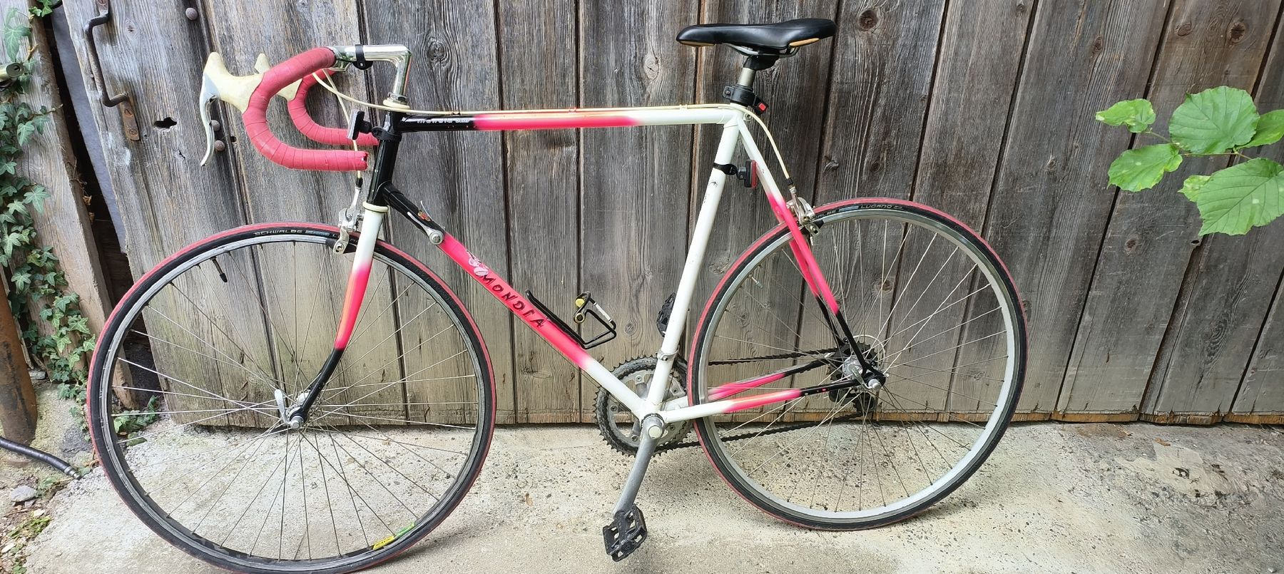 Mondia Biciclette: Rennrad Mondia Winner Vintage – Usato da Wädenswil venduto da M_Gee 1