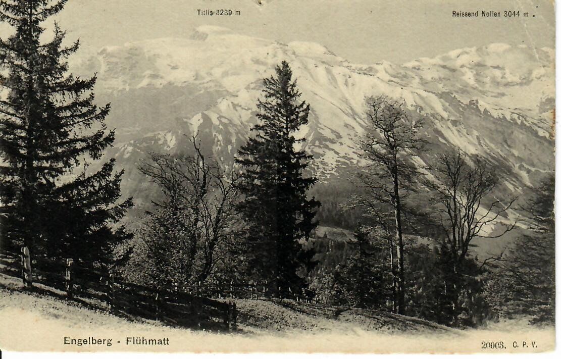 Cartes postales: Engelberg - Flühmatt 1906 – D'occasion à Hochdorf par Ziegel-16