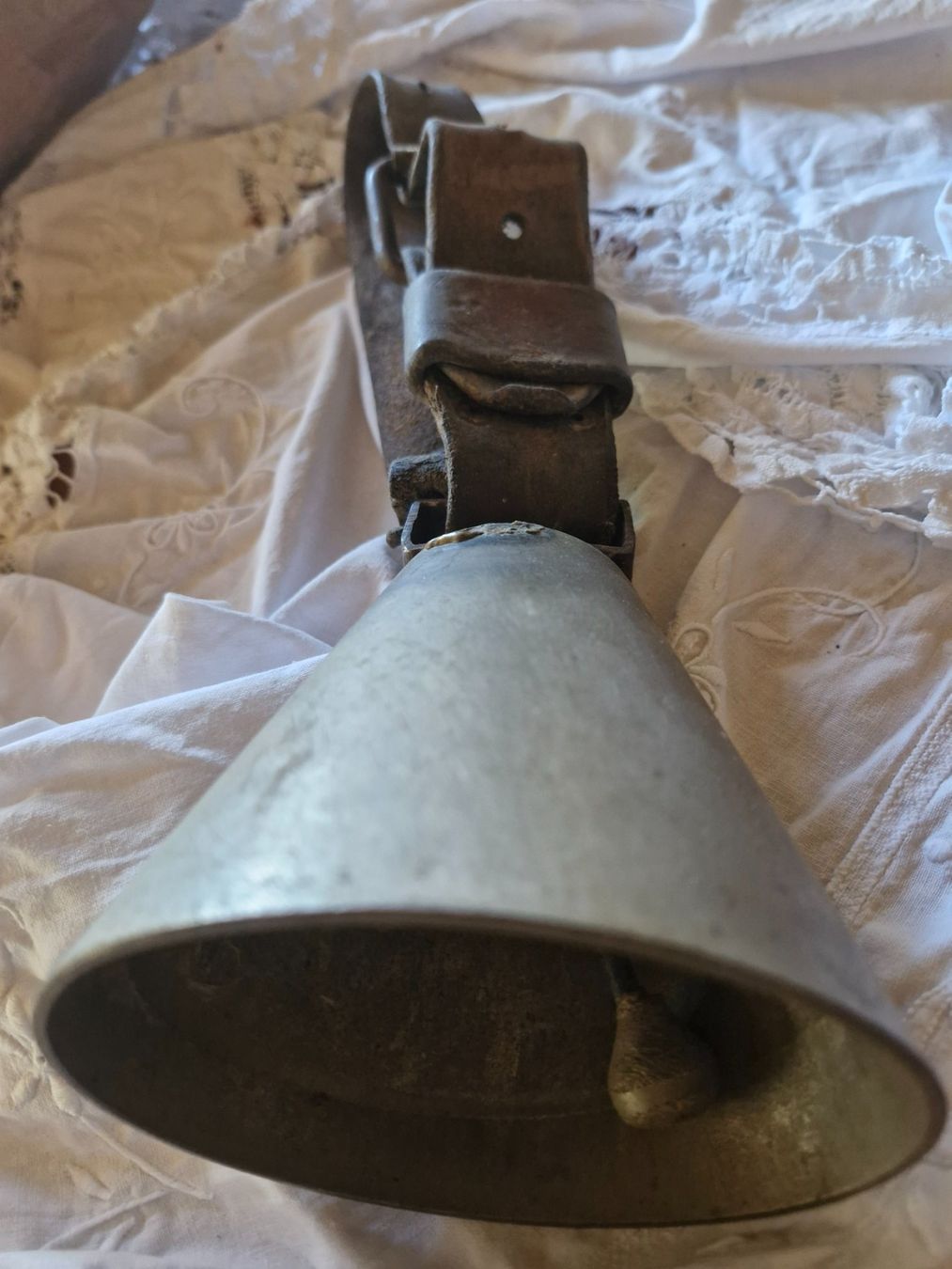 Campanacci mucche: Ziegen-Schafglocke – Usato da Guarda venduto da rue_bpd7 1