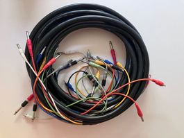 2x Hosa 8-Kanal Multicore Kabel (Audio Snake) 4,2 m Mantel