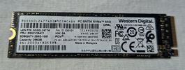 Western Digital M.2 NVMe SSD mit 256 GB