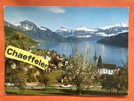 Ferienort Weggis mit Alpen Panorama, 1974