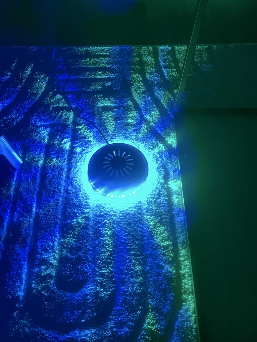 Lampen: LIVARNO home LED-Lichtrad mit Audio-Sensor – Neu (gemäss Beschreibung) aus Zürich von ale_ap 2