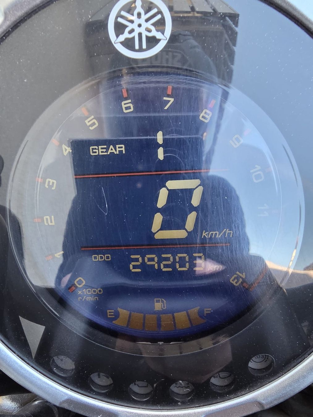 Yamaha Strasse: Yamaha XSR 125 – Gebraucht aus Choulex von loi_jm6m 6