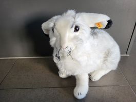 Steiff Hase