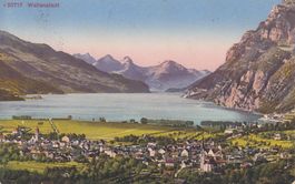 Wallenstadt 1917