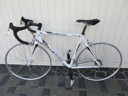 Rennvelo Carbon , Campagnolo Rahmen höhe 52 , Schaltung 20 G