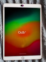 Apple iPad Pro 10,5" 256 GB WLAN Roségold – 1a Zustand