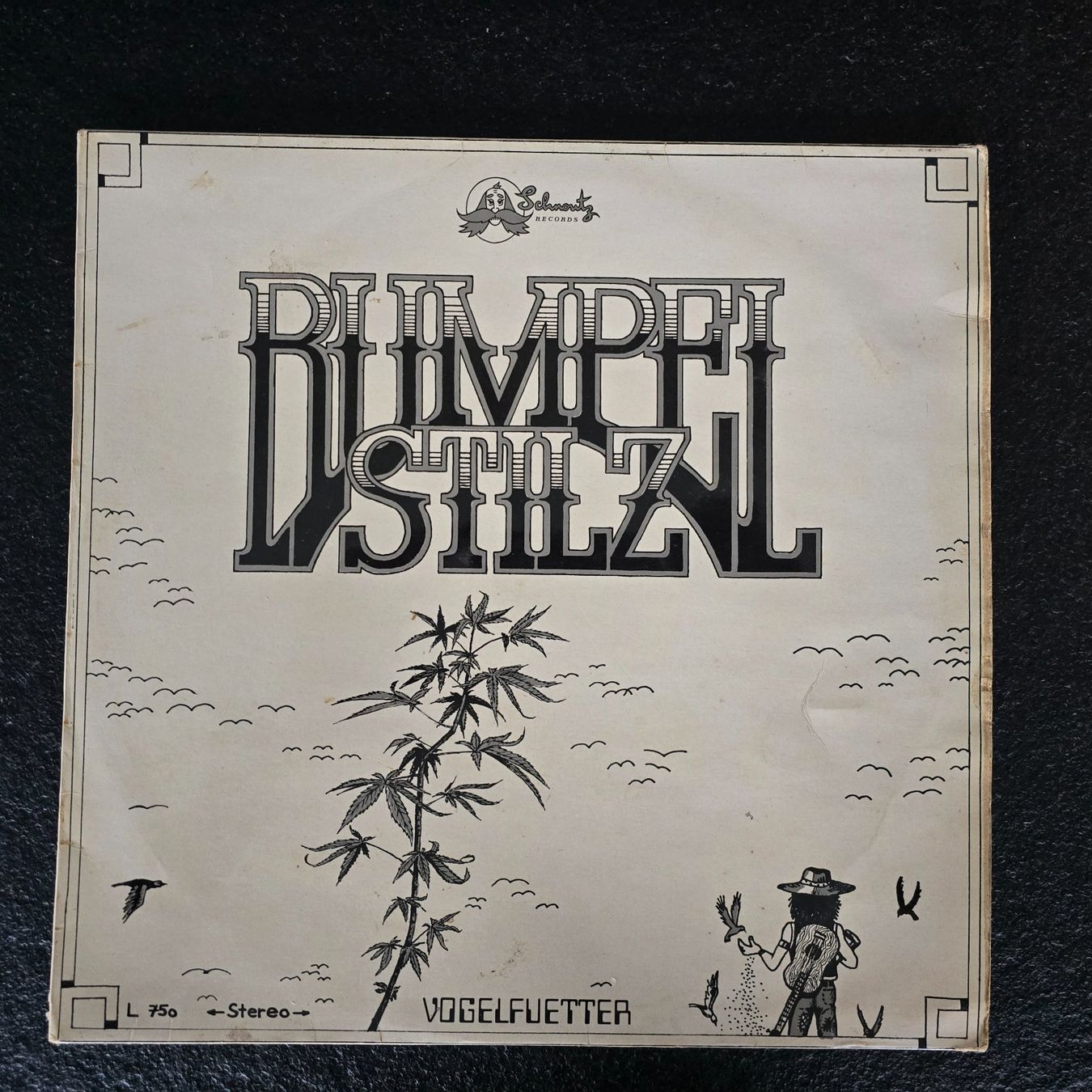 Dischi in vinile: kleine schweizer Rock Sammlung - Vinyl – Usato da Worblaufen venduto da Maeder14B
