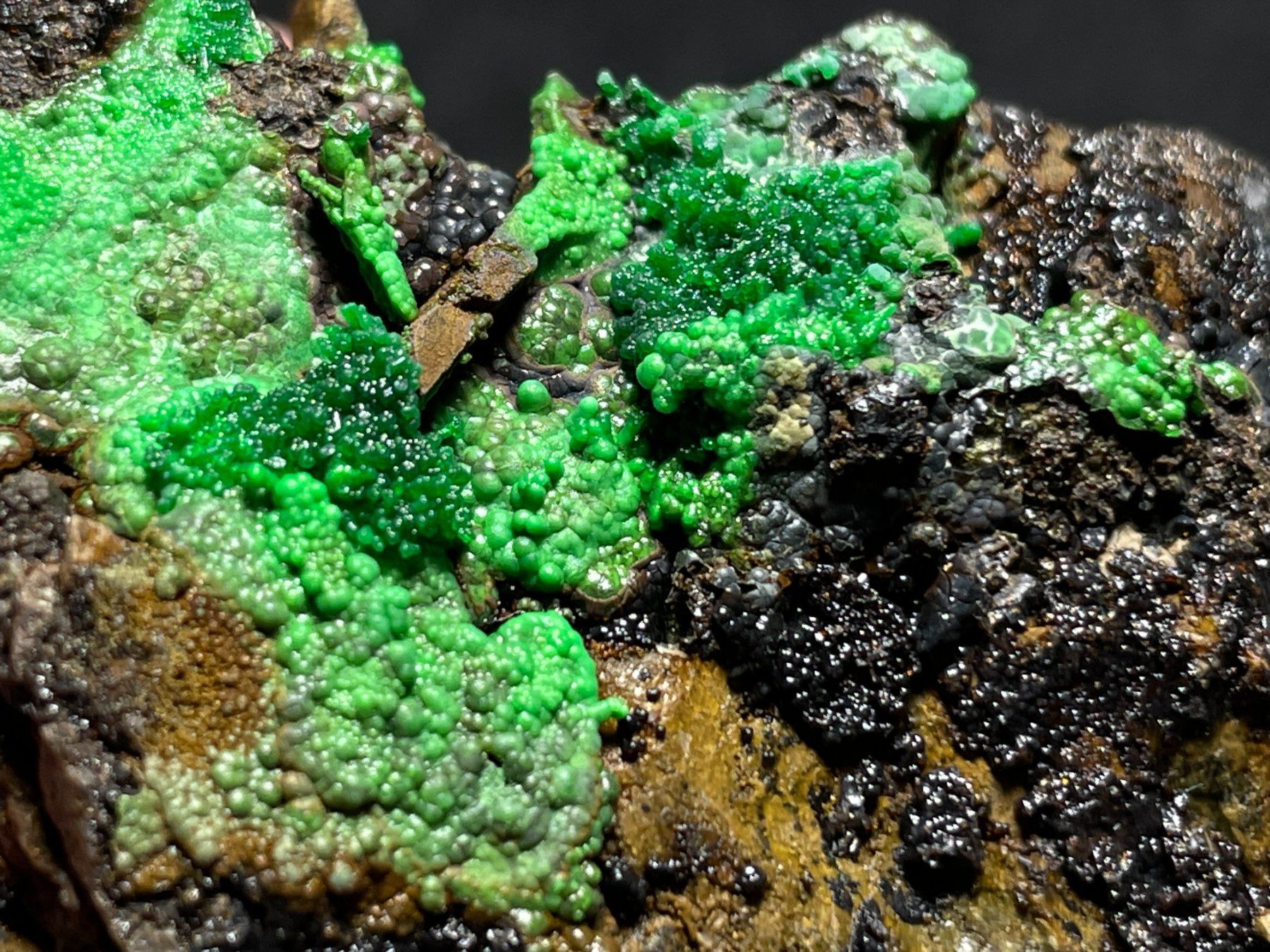 Minéraux & Lithothérapie: Conicalcite - superbe – Neuf (Voir description) à Cernier par Tashi_Delek 4