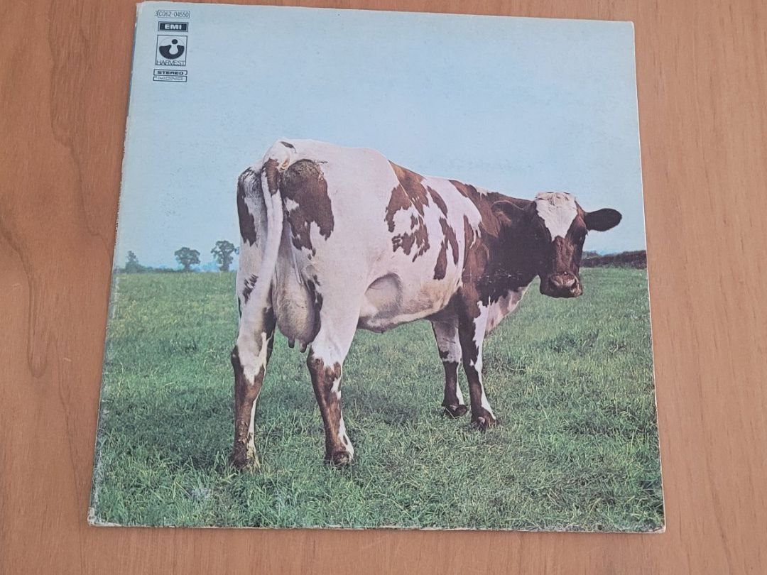 Schallplatten: LP  Pink Floyd – Gebraucht aus Martigny von MZ-67