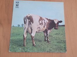 LP  Pink Floyd
