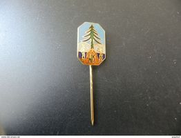 Altes Abzeichen Deutschland Westerwald Klub