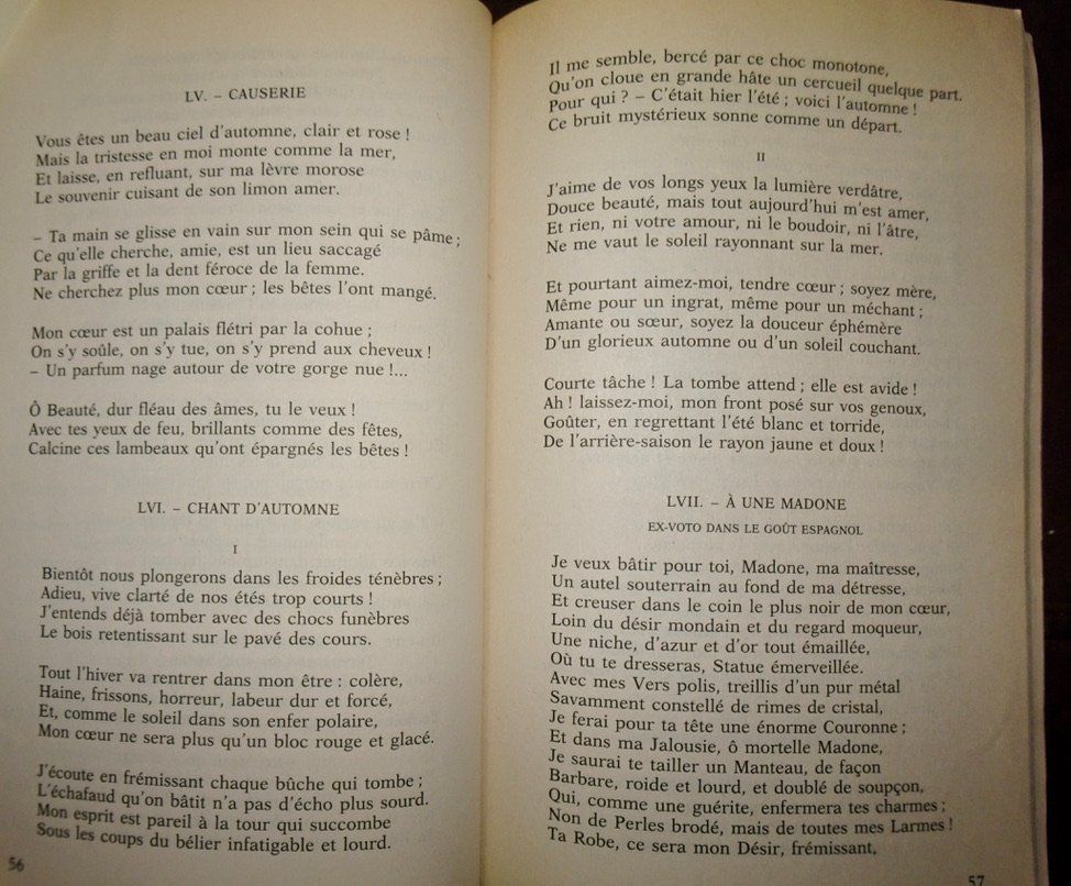 Bücher: Livre Les Fleurs du Mal Charles Baudelaire – Gebraucht aus Châtelaine von fil_7lqg 6