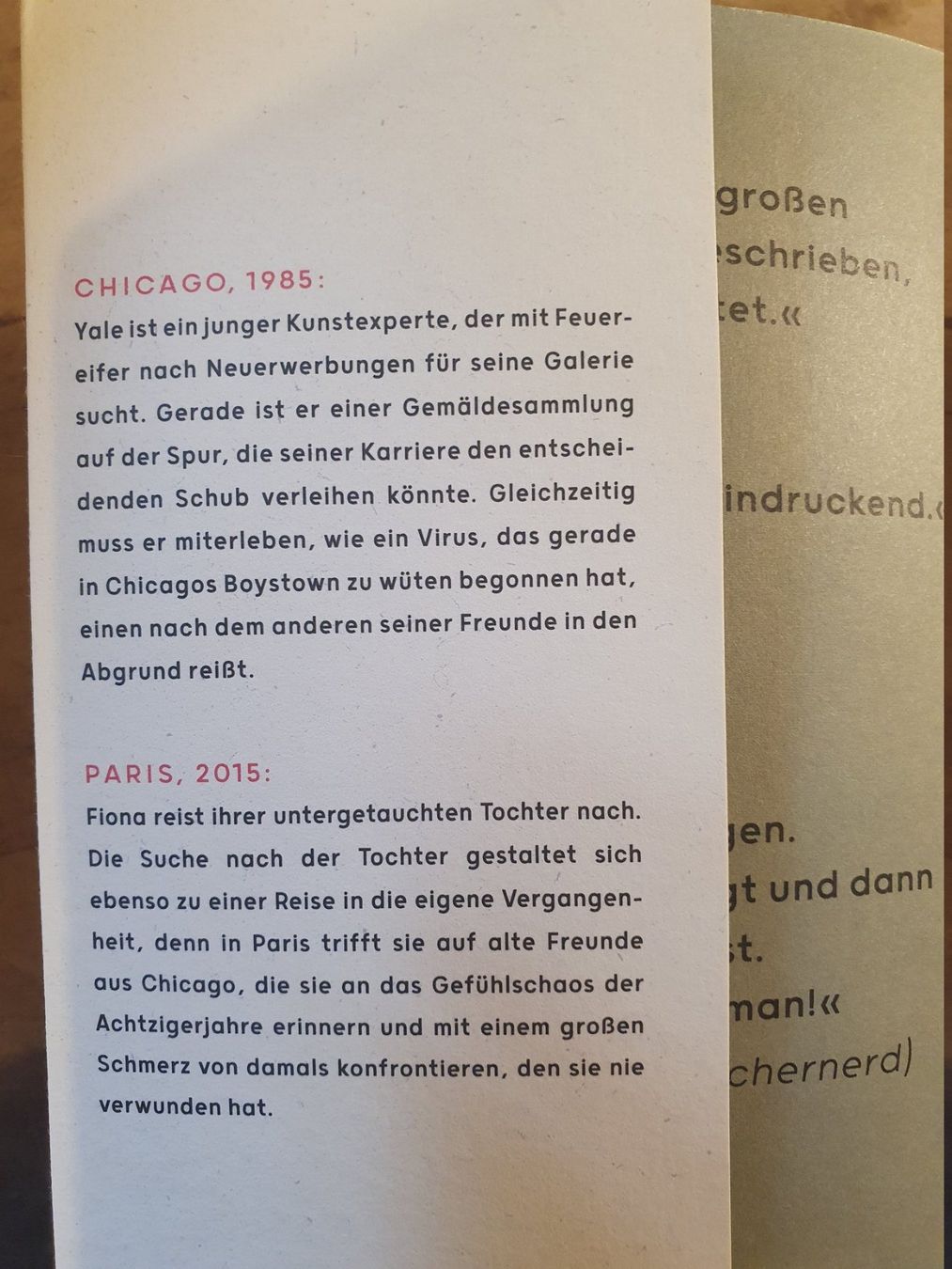 Libri: Die Optimisten Rebecca Makkai Eisele – Usato da Zürich venduto da loosebone 1