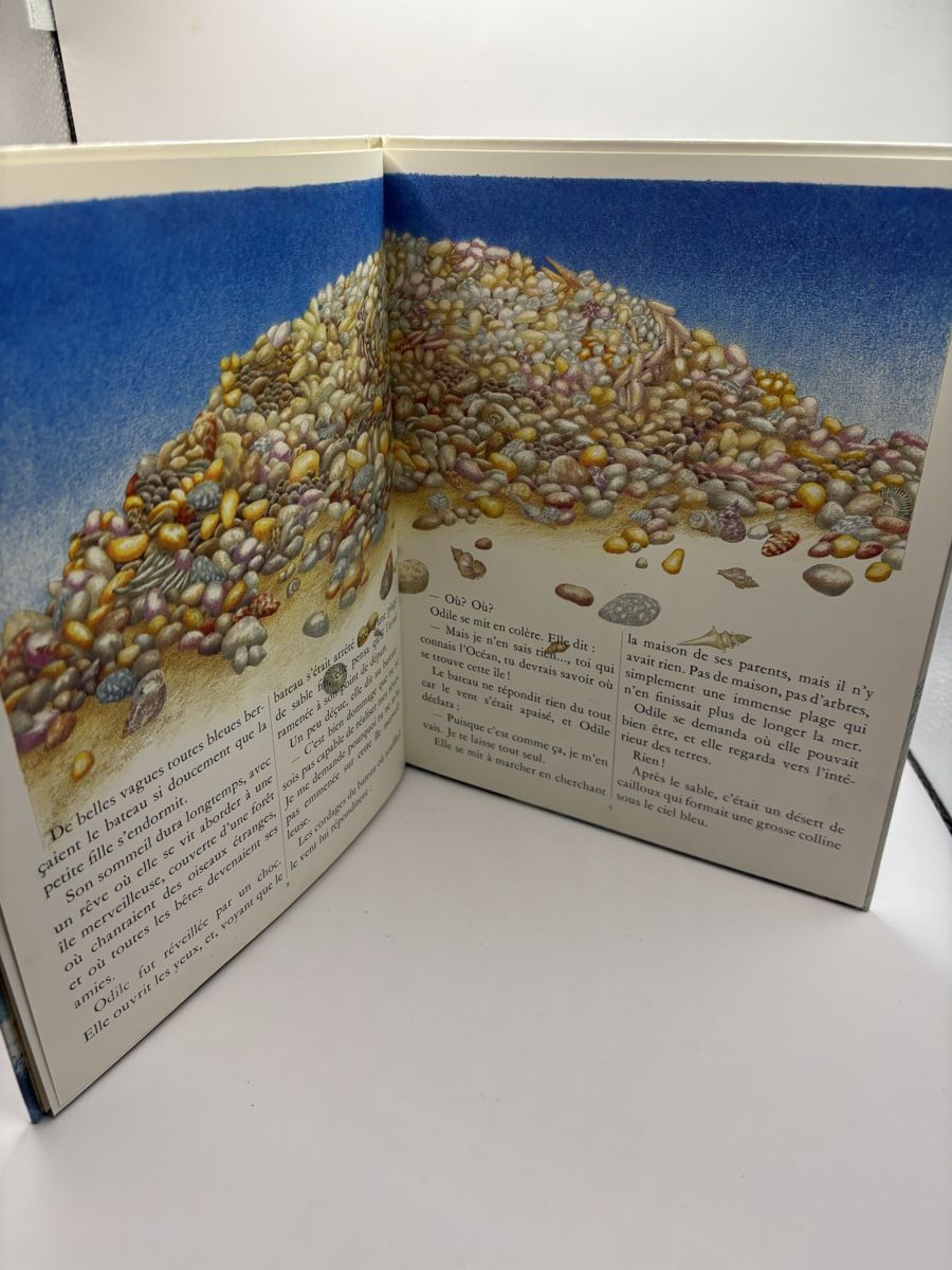 Livres: Odile et le vent du large, Clavel 1981 – D'occasion à Genève par sho_67qj 6