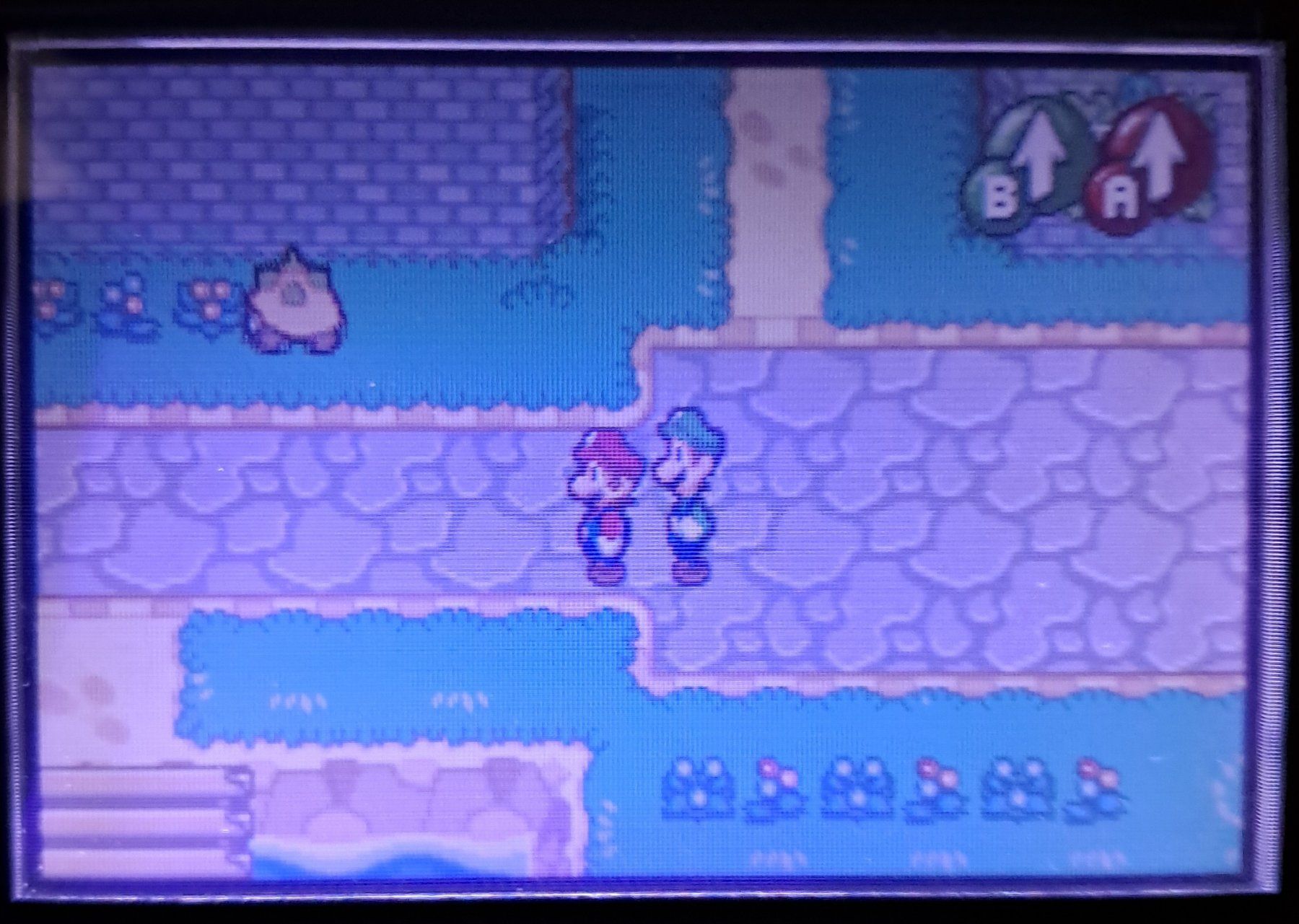 Nintendo Giochi: Mario & Luigi Superstar Saga Game Boy Advance – Usato da urdorf venduto da Boo24 4