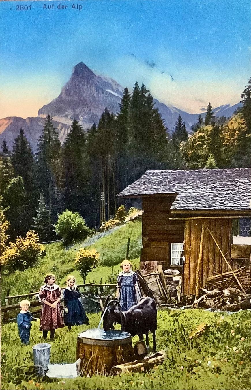 Cartoline postali: AUF DER ALP - Kinder mit Ziege - Matterhorn? – Usato da Root venduto da ENGLAND-TREASURES 1