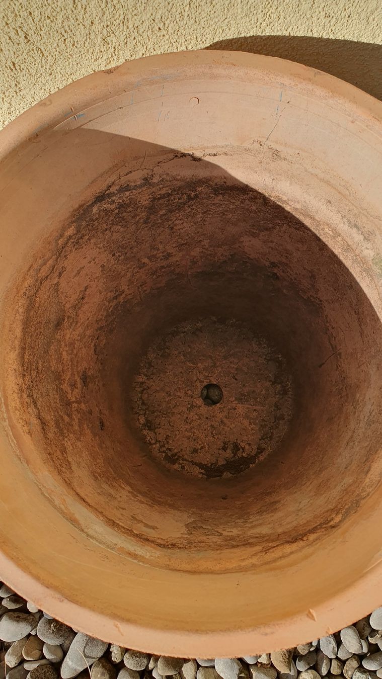 Vasi per fiori: Grosser Terracotta Planztopf – Usato da Bellerive VD venduto da cajen 1