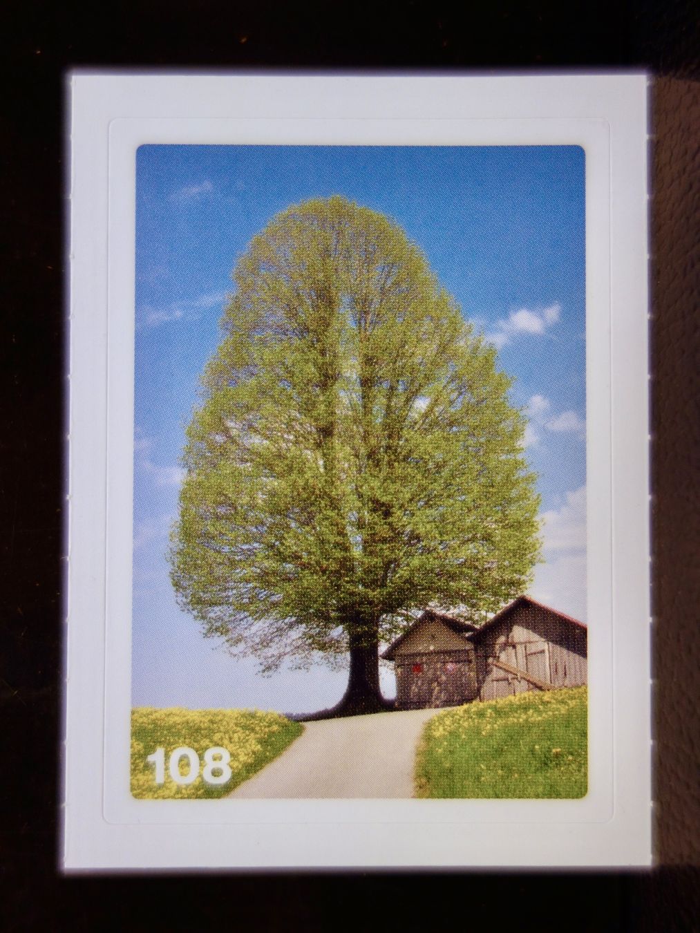 Migros Carte collezionabili: MIGROS MANIA Nature Detectives Nr. 108 – Nuovo e nell'imballaggio originale da Kerzers venduto da djstarsky73