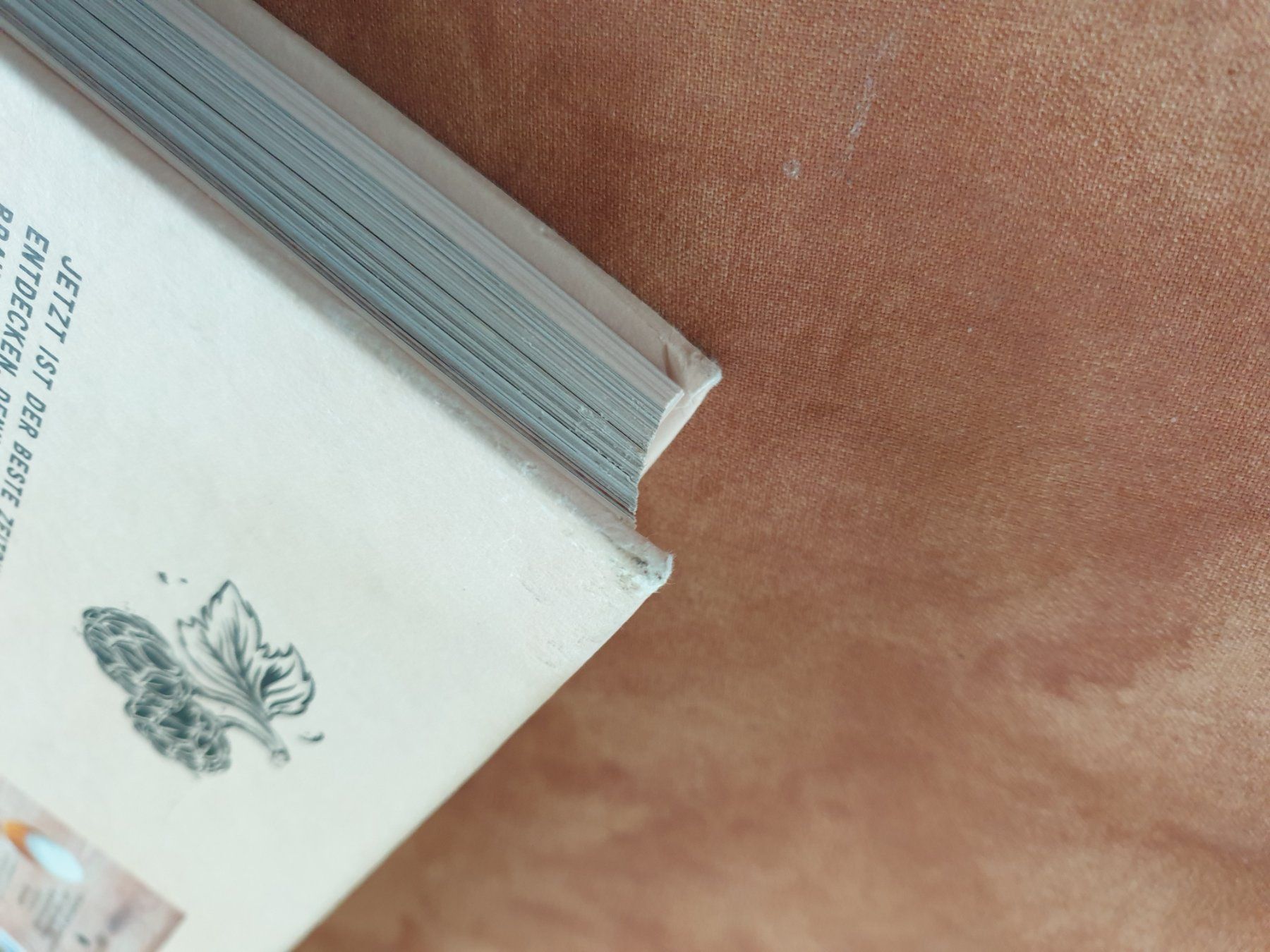 Libri: Das Craft - Bier  Buch – Usato da Schönengrund venduto da Liane63 2