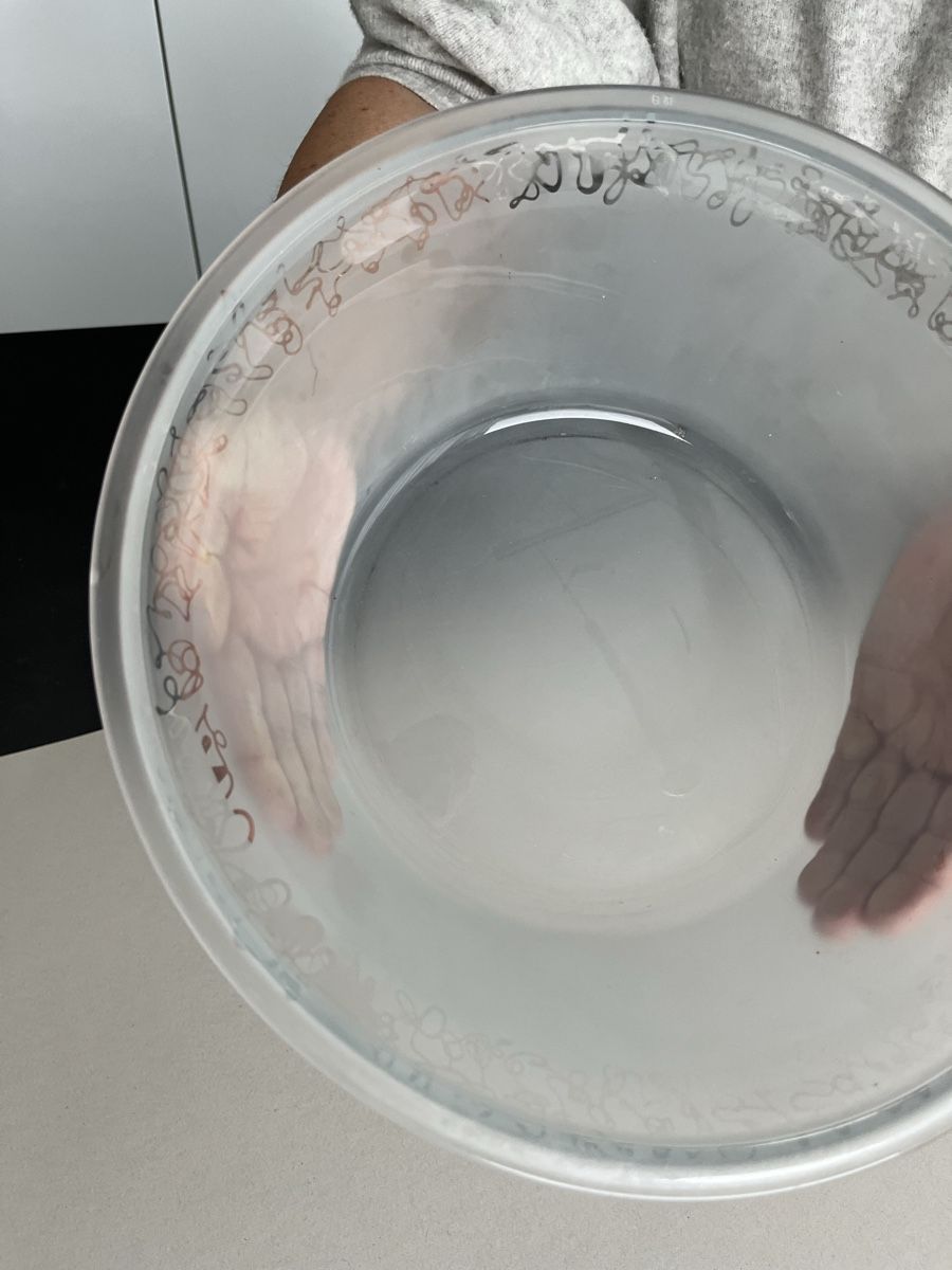 Ciotole: Salatschüssel, Früchteschale – Usato da Steffisburg venduto da stockhorn01 1