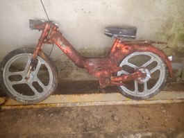 Puch Maxi S für Dekoration