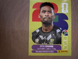 Panini 2026 RSA 3