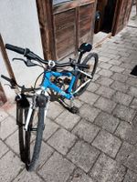 Kindervelo Woom 5