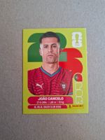 PANINI FIFA 2026 POR 5